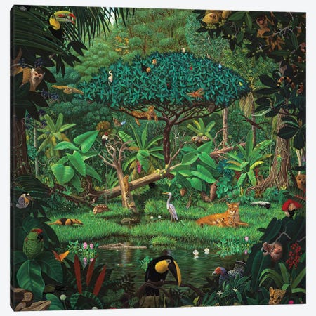 Secrets Of The Rainforest Canvas Print #LYB46} by Charles Lynn Bragg Canvas Wall Art