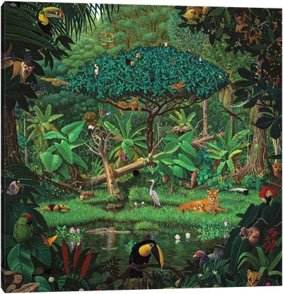 Secrets Of The Rainforest Canvas Art Print - Green Art