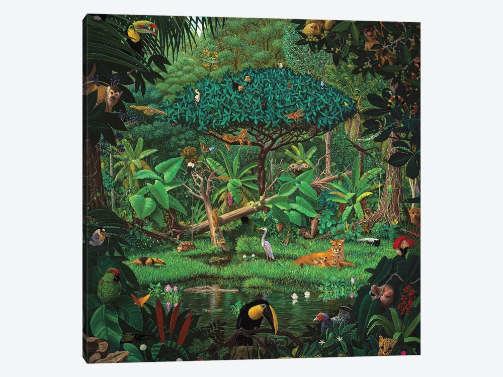 Secrets Of The Rainforest by Charles Lynn Bragg 1-piece Canvas Wall Art