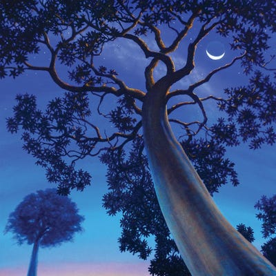 Twilight by Charles Lynn Bragg framed canvas print