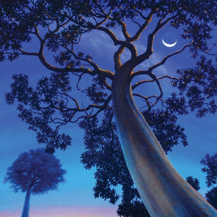 Twilight by Charles Lynn Bragg wall art