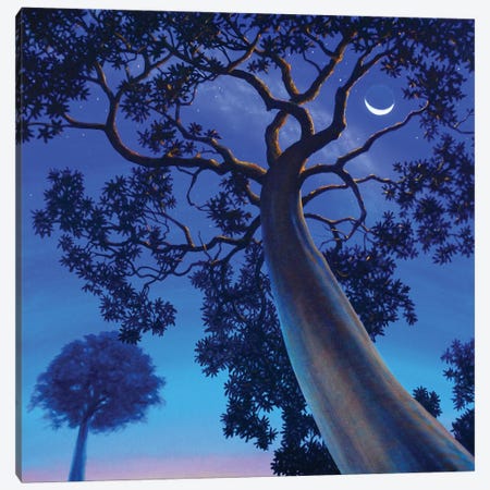 Twilight Canvas Print #LYB47} by Charles Lynn Bragg Canvas Art