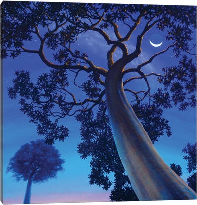 Twilight Canvas Art Print - Charles Lynn Bragg