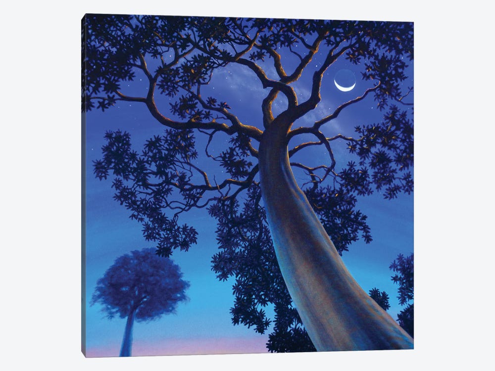 Twilight by Charles Lynn Bragg 1-piece Canvas Art Print