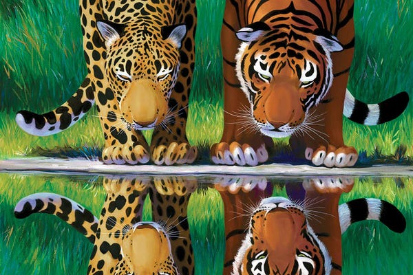 Charles Lynn Bragg: Cat Reflections by Charles Lynn Bragg