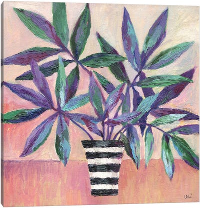 Purple Flowers In A Pot Canvas Art Print - Lelya Chara