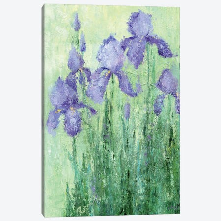Irises Canvas Print #LYC2} by Lelya Chara Canvas Print