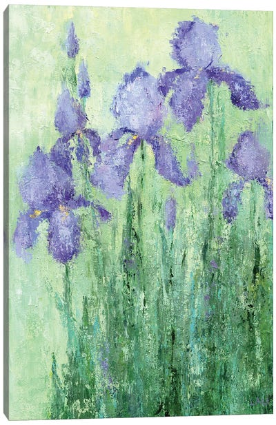 Irises Canvas Art Print - Lelya Chara
