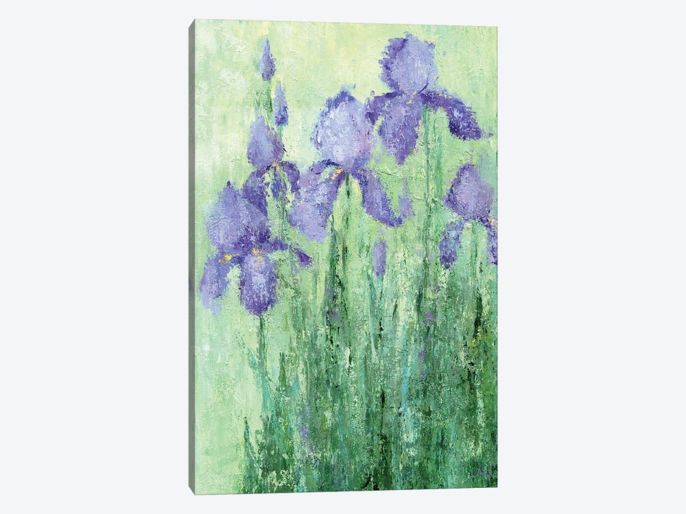Irises 1-piece Canvas Artwork
