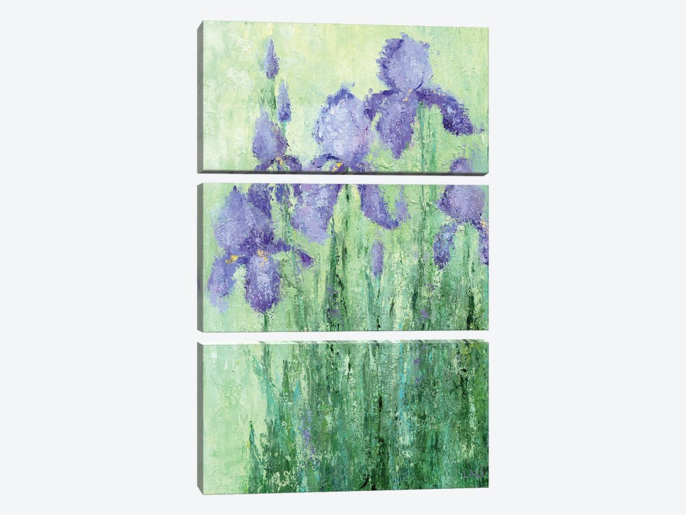 Irises by Lelya Chara 3-piece Canvas Art
