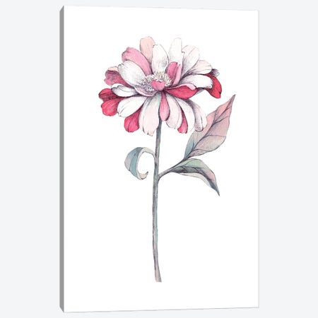 The Tenderness Of Chrysanthemum Canvas Print #LYC44} by Lelya Chara Canvas Print