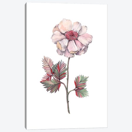 The Freshness Of Rose Canvas Print #LYC45} by Lelya Chara Art Print