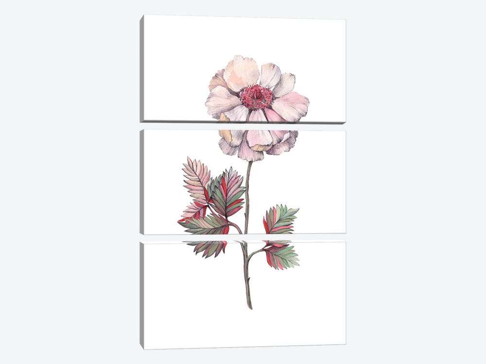 The Freshness Of Rose by Lelya Chara 3-piece Canvas Wall Art