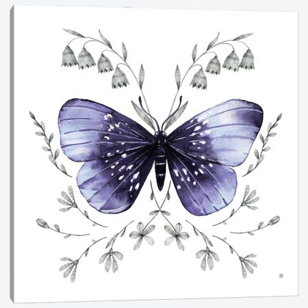 Butterfly I Canvas Print #LYC50} by Lelya Chara Canvas Print