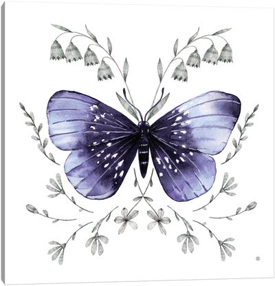 Butterfly I Canvas Art Print - Lelya Chara