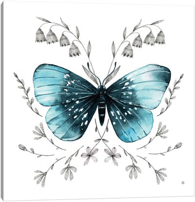 Butterfly II Canvas Art Print - Lelya Chara