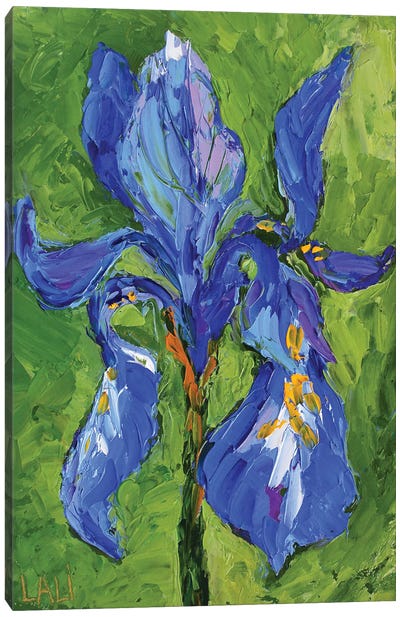 Irises V Canvas Art Print - Lelya Chara