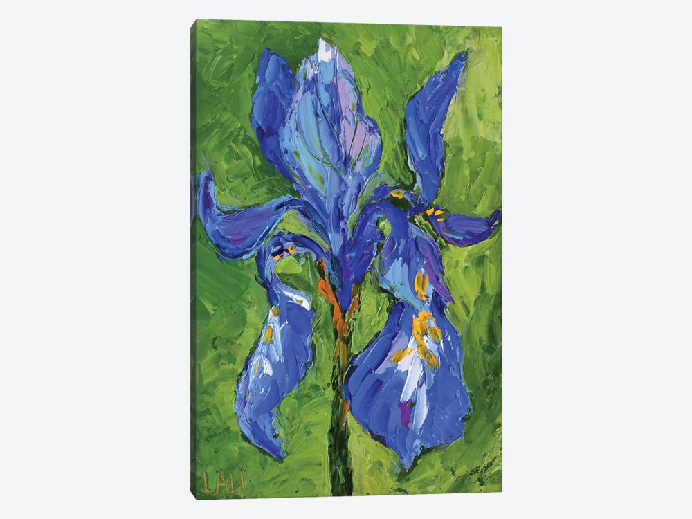 Irises V by Lelya Chara 1-piece Canvas Art Print