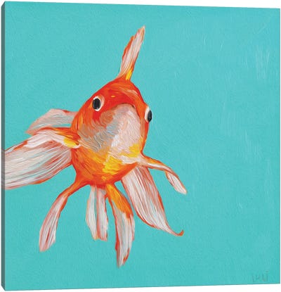 Gold Fish Canvas Art Print - Dad Jokes