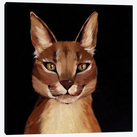 Caracal. Wild Cat Canvas Print #LYC64} by Lelya Chara Canvas Print