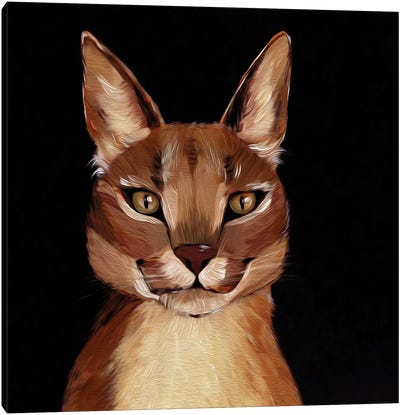 Caracal. Wild Cat Canvas Art Print - Lelya Chara