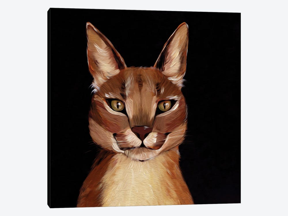 Caracal. Wild Cat by Lelya Chara 1-piece Canvas Print