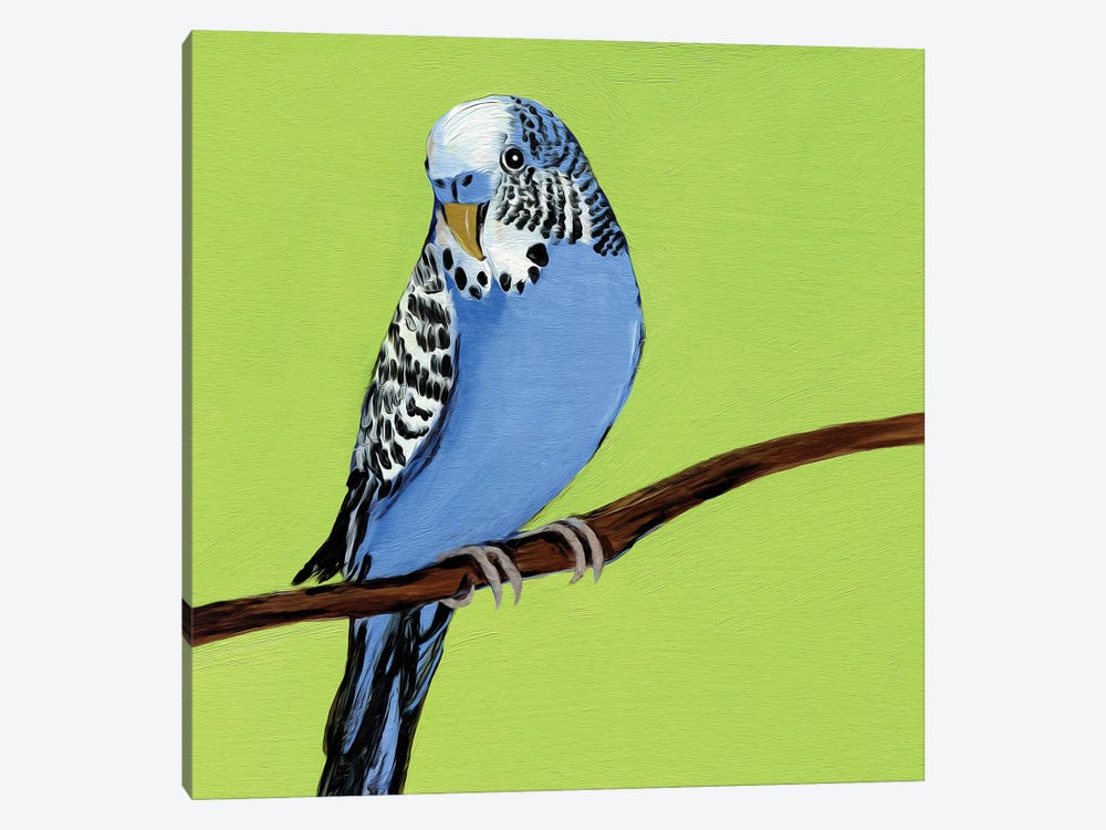 Blue Budgie Bird by Lelya Chara 1-piece Canvas Wall Art