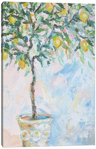 Lemon Tree Canvas Art Print - Lelya Chara
