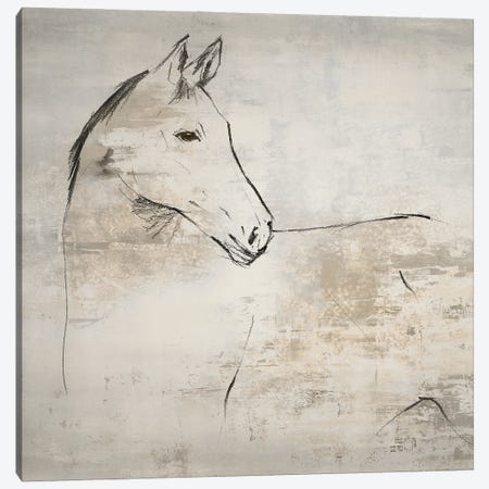 Horse II Canvas Print #LYK10} by Lily K Canvas Art Print