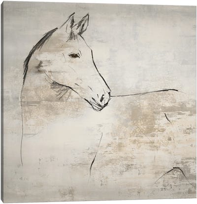 Horse II Canvas Art Print