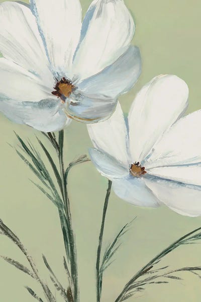 White Blooms Against Soft Green I