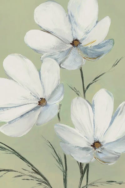 White Blooms Against Soft Green II