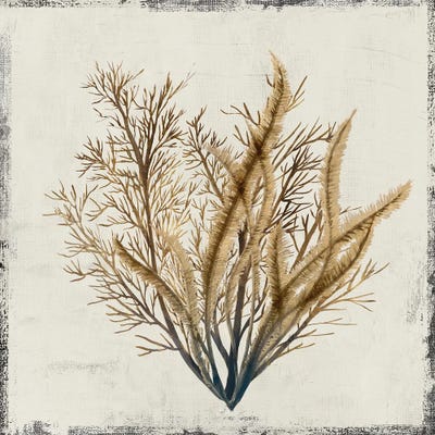 Yellow Coral III by Lily K canvas print