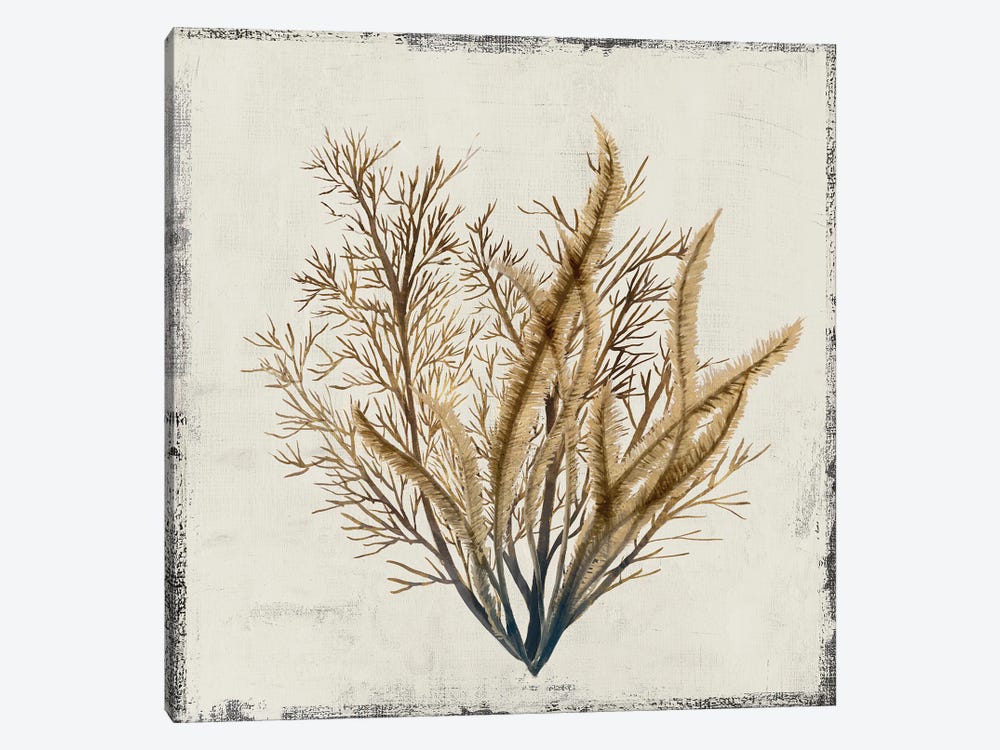 Yellow Coral III by Lily K 1-piece Canvas Art Print