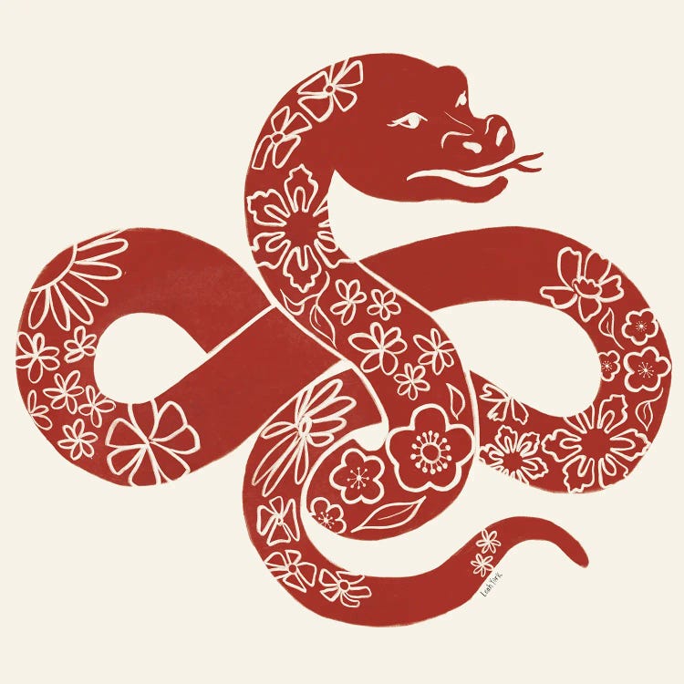 Year Of The Snake