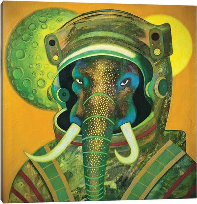Elephant Footprints Canvas Art Print - Natasha Lyapkina