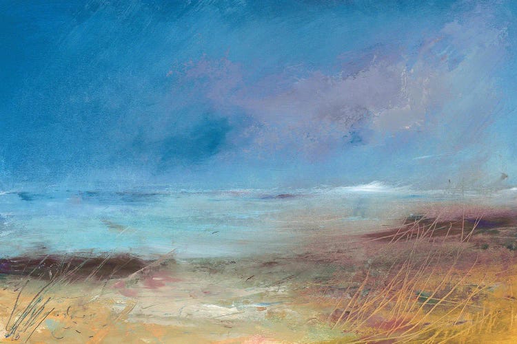 Scottish Beach by Lesley Birch wall art