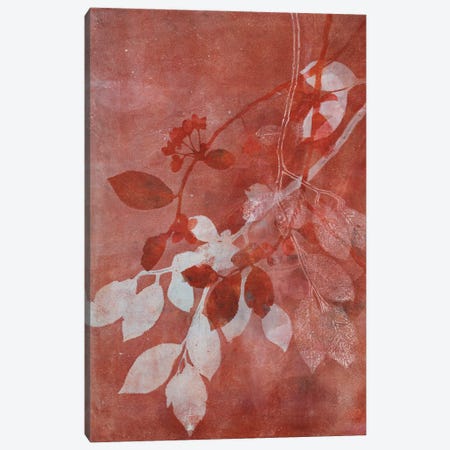 Branching Out XVI Canvas Print #LZA3} by Liz St. Andre Canvas Wall Art