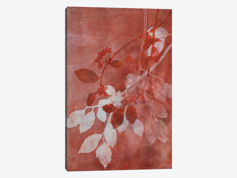 Branching Out XVI by Liz St. Andre 1-piece Canvas Print
