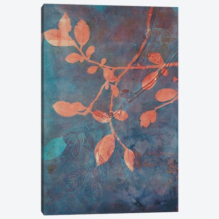 Branching Out XVIII Canvas Print #LZA4} by Liz St. Andre Canvas Art Print