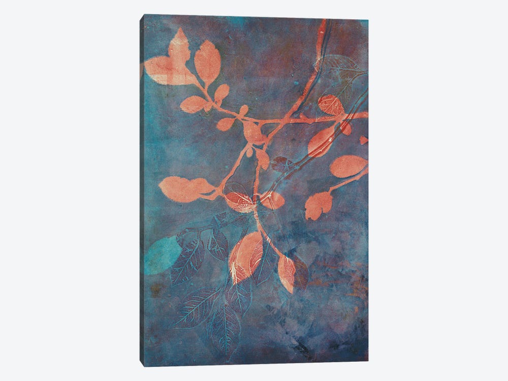 Branching Out XVIII by Liz St. Andre 1-piece Canvas Art