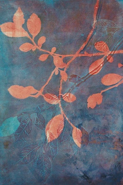 Branching Out XVIII