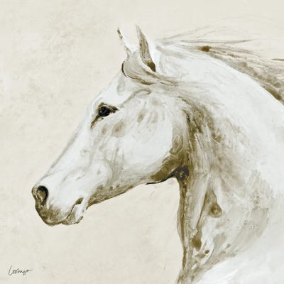 Lorenzo Collective - Canvas Prints: Horse Profile by Lorenzo Collective