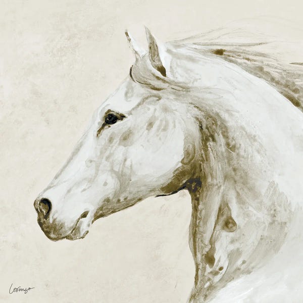 Horse Profile