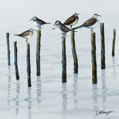 Lorenzo Collective - Canvas Prints: Sandpiper Convention I by Lorenzo Collective