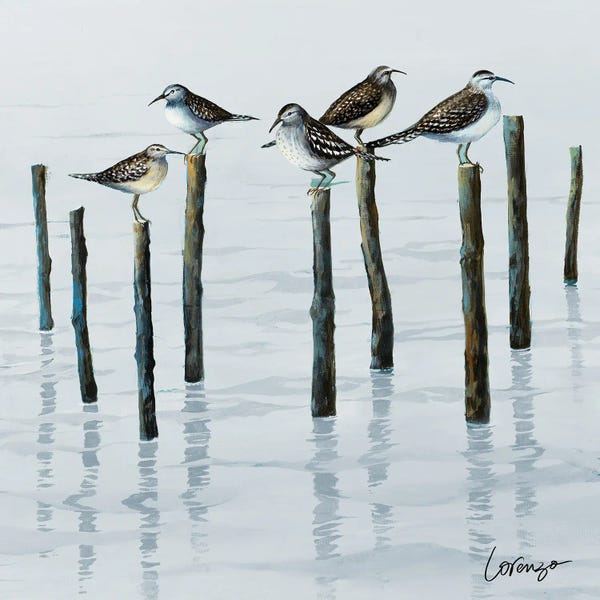 Sandpiper Convention I