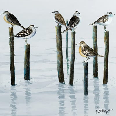 Lorenzo Collective - Canvas Prints: Sandpiper Convention II by Lorenzo Collective