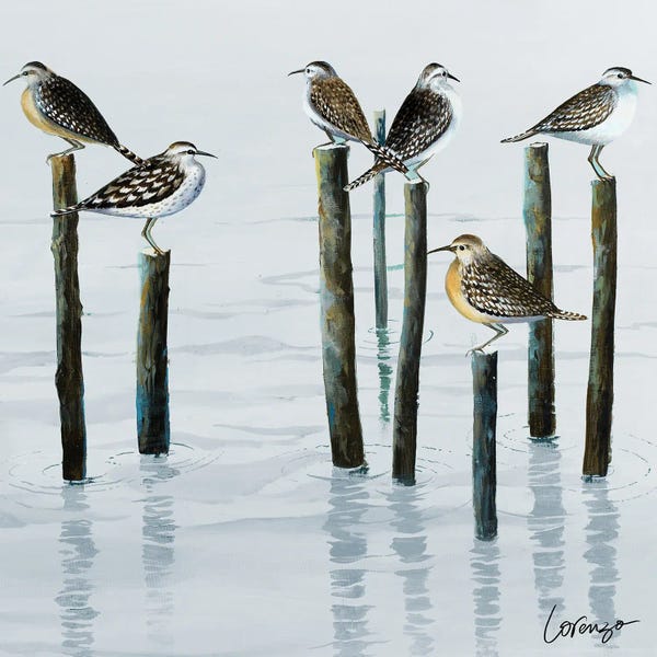 Sandpiper Convention II