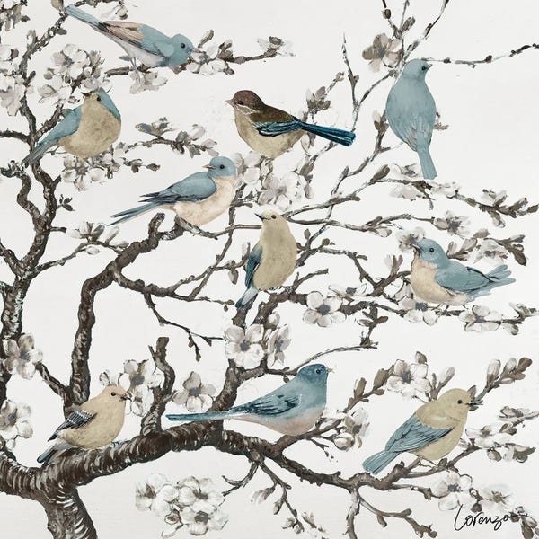 Birds Galore On Cherry Blossom