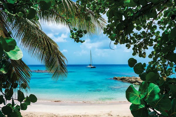 Lizzy Davis: Window To Paradise by Lizzy Davis